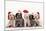 Spinone Dog Puppies Wearing Christmas Hats-null-Mounted Photographic Print