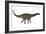 Spinophorosaurus Dinosaur-Stocktrek Images-Framed Art Print