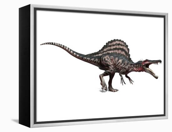 Spinosaurus Dinosaur, Artwork-SCIEPRO-Framed Premier Image Canvas