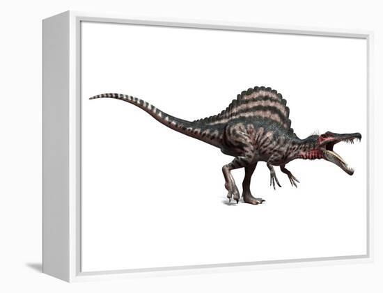 Spinosaurus Dinosaur, Artwork-SCIEPRO-Framed Premier Image Canvas