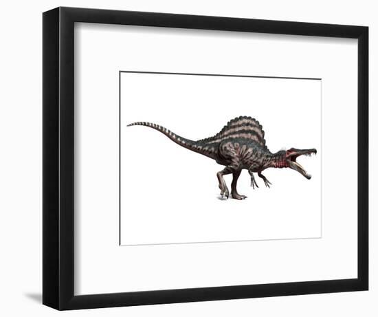 Spinosaurus Dinosaur, Artwork-SCIEPRO-Framed Premium Photographic Print