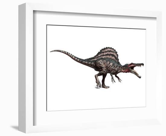 Spinosaurus Dinosaur, Artwork-SCIEPRO-Framed Premium Photographic Print