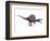 Spinosaurus Dinosaur, Artwork-SCIEPRO-Framed Premium Photographic Print