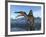 Spinosaurus Dinosaur, Artwork-Walter Myers-Framed Photographic Print