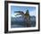 Spinosaurus Dinosaur, Artwork-Walter Myers-Framed Photographic Print