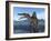 Spinosaurus Dinosaur, Artwork-Walter Myers-Framed Photographic Print