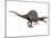 Spinosaurus Dinosaur, Artwork-SCIEPRO-Mounted Photographic Print