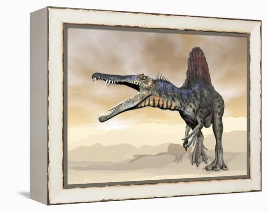 Spinosaurus Dinosaur Roaring in the Desert-null-Framed Stretched Canvas