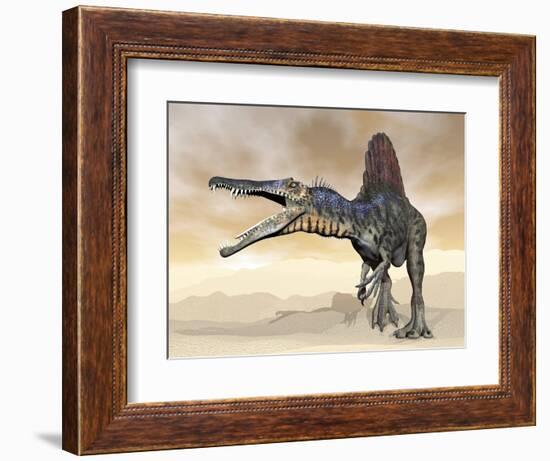 Spinosaurus Dinosaur Roaring in the Desert-null-Framed Art Print