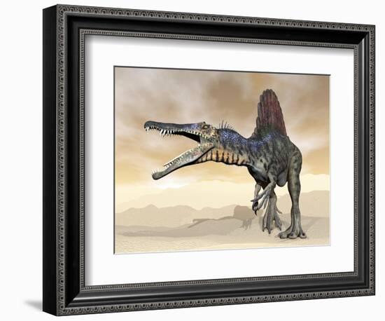 Spinosaurus Dinosaur Roaring in the Desert-null-Framed Art Print