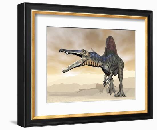 Spinosaurus Dinosaur Roaring in the Desert-null-Framed Art Print