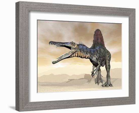 Spinosaurus Dinosaur Roaring in the Desert-null-Framed Art Print