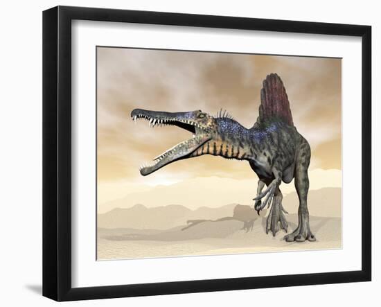 Spinosaurus Dinosaur Roaring in the Desert-null-Framed Art Print