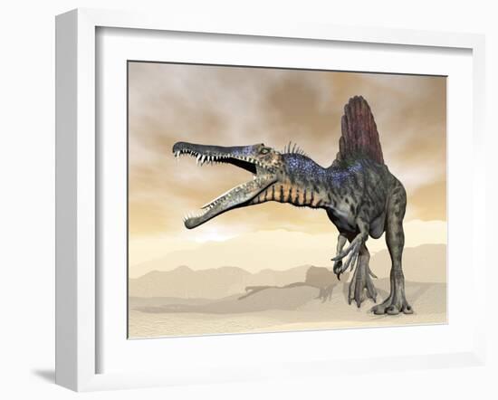 Spinosaurus Dinosaur Roaring in the Desert-null-Framed Art Print