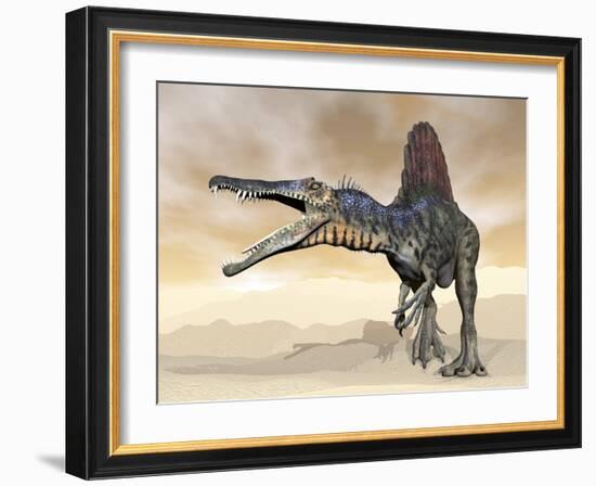 Spinosaurus Dinosaur Roaring in the Desert-null-Framed Art Print