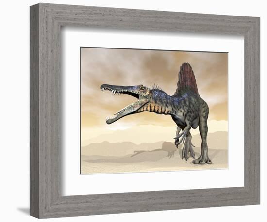 Spinosaurus Dinosaur Roaring in the Desert-null-Framed Premium Giclee Print