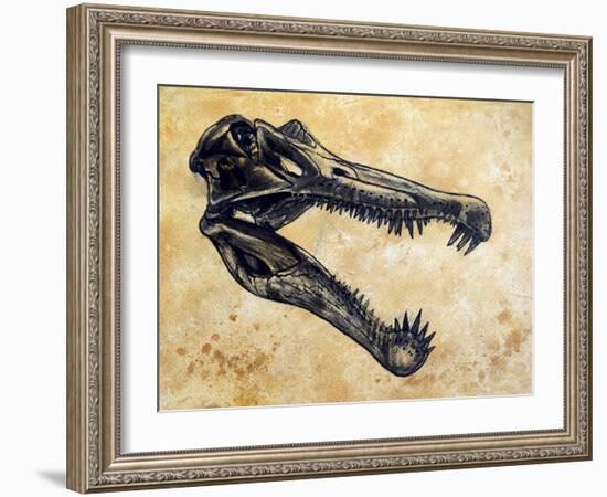 Spinosaurus Dinosaur Skull-Stocktrek Images-Framed Art Print