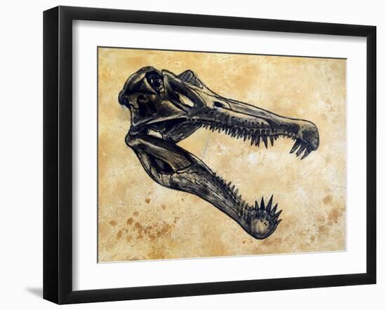 Spinosaurus Dinosaur Skull-Stocktrek Images-Framed Art Print