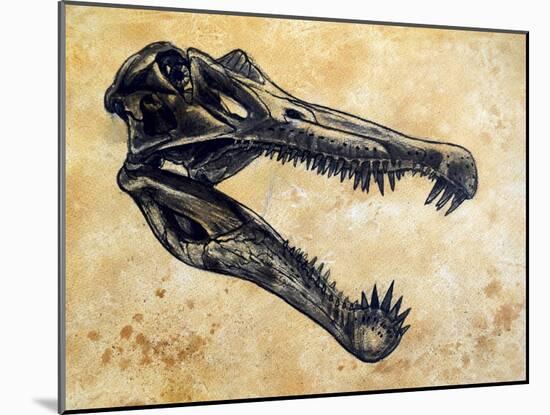 Spinosaurus Dinosaur Skull-Stocktrek Images-Mounted Art Print