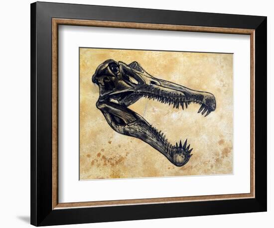 Spinosaurus Dinosaur Skull-Stocktrek Images-Framed Art Print