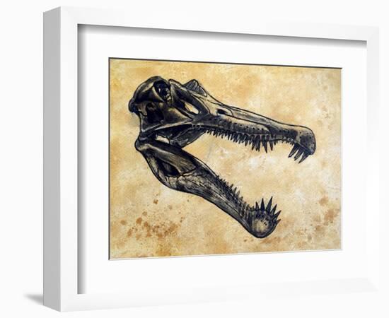 Spinosaurus Dinosaur Skull-Stocktrek Images-Framed Art Print