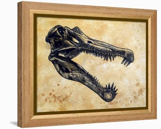 Spinosaurus Dinosaur Skull-Stocktrek Images-Framed Stretched Canvas