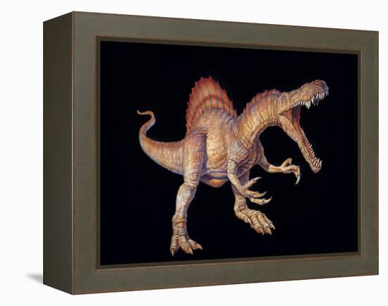 Spinosaurus Dinosaur-Joe Tucciarone-Framed Premier Image Canvas