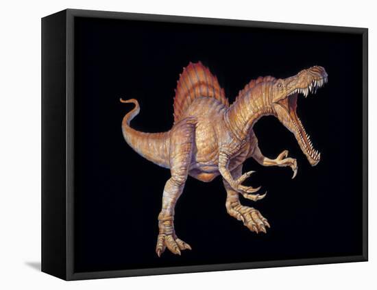 Spinosaurus Dinosaur-Joe Tucciarone-Framed Premier Image Canvas