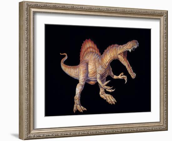 Spinosaurus Dinosaur-Joe Tucciarone-Framed Photographic Print