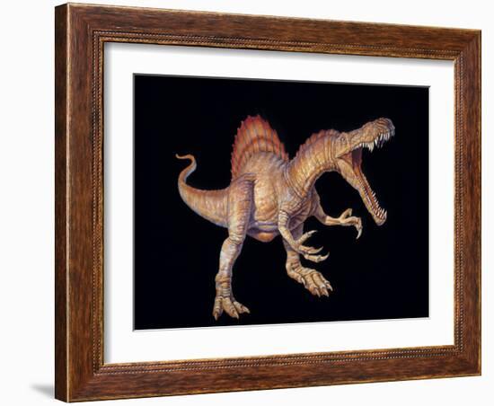 Spinosaurus Dinosaur-Joe Tucciarone-Framed Photographic Print