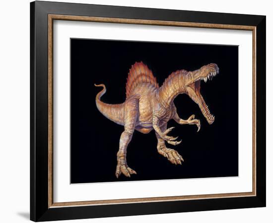 Spinosaurus Dinosaur-Joe Tucciarone-Framed Photographic Print