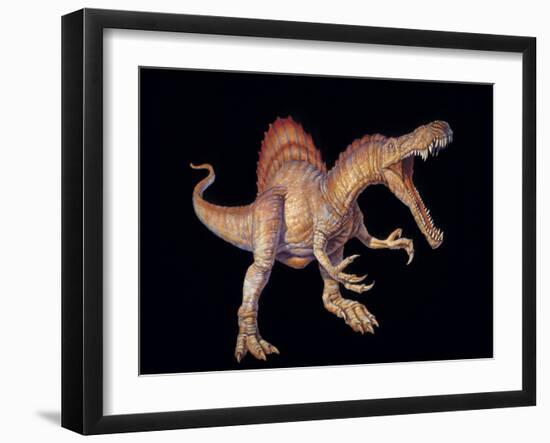 Spinosaurus Dinosaur-Joe Tucciarone-Framed Photographic Print