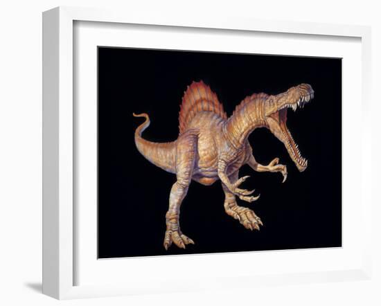 Spinosaurus Dinosaur-Joe Tucciarone-Framed Photographic Print