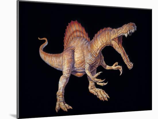 Spinosaurus Dinosaur-Joe Tucciarone-Mounted Photographic Print