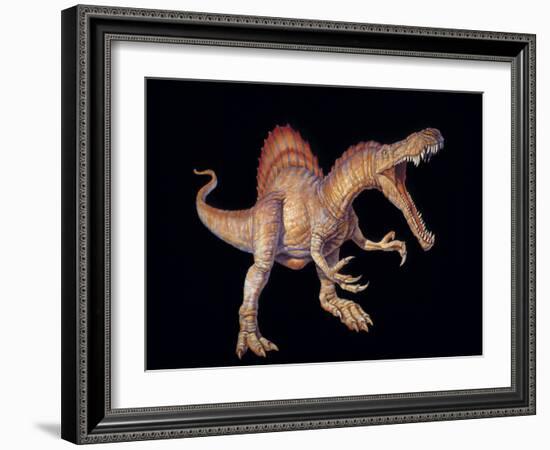 Spinosaurus Dinosaur-Joe Tucciarone-Framed Photographic Print