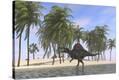 Stretched Canvas Print