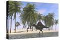 Stretched Canvas Print