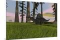 Premium Giclee Print