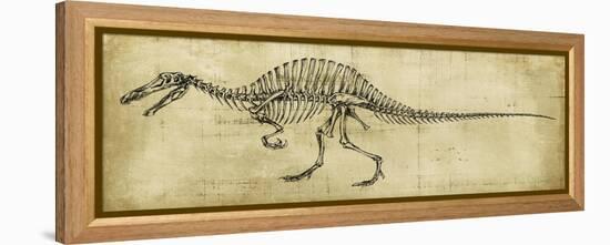 Spinosaurus Study-Ethan Harper-Framed Stretched Canvas