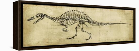 Spinosaurus Study-Ethan Harper-Framed Stretched Canvas