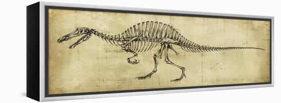 Spinosaurus Study-Ethan Harper-Framed Stretched Canvas