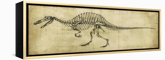 Spinosaurus Study-Ethan Harper-Framed Stretched Canvas