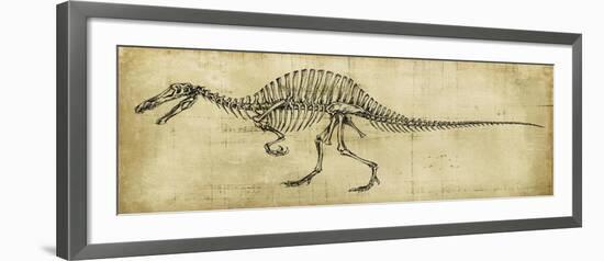 Spinosaurus Study-Ethan Harper-Framed Art Print