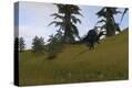 Stretched Canvas Print