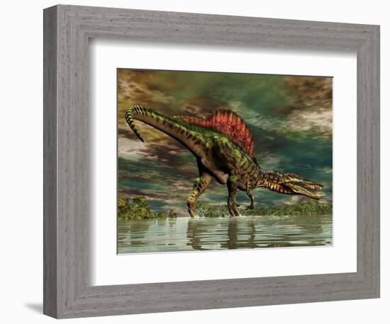 Spinosaurus Was a Large Theropod Dinosaur from the Cretaceous Period-null-Framed Art Print