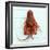 Spiny Lobster-Koops Holsten-Framed Photographic Print