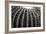 Spiny Rows-Alan Hausenflock-Framed Photographic Print