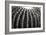 Spiny Rows-Alan Hausenflock-Framed Photographic Print