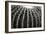 Spiny Rows-Alan Hausenflock-Framed Photographic Print