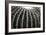 Spiny Rows-Alan Hausenflock-Framed Photographic Print